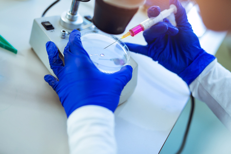 Woman scienist in laboratory using petri dish and microscopeの写真素材