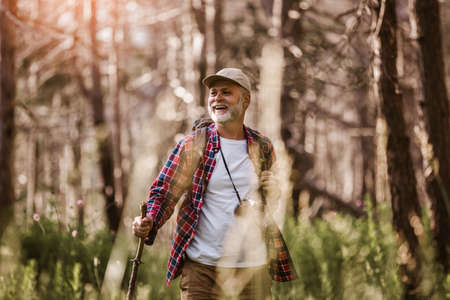 Mature man on a hiking trip through forestの写真素材