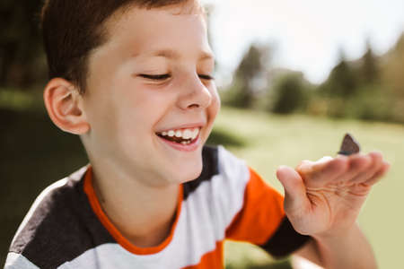 Butterfly in a child's hand. butterfly on a child's palm. Young boy exploring nature in a meadow.の写真素材