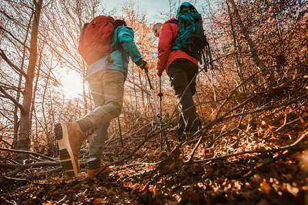 Mature Couple Hiking Along Forest Path Together