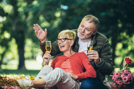 Happy senior couple having a picnic in park, making a toast.の写真素材