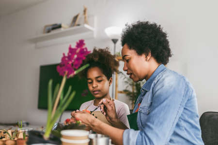Mother and daughter planting at home. Upcycling and recycling old tin cans, plastic, cardboard and plant seeds.の写真素材