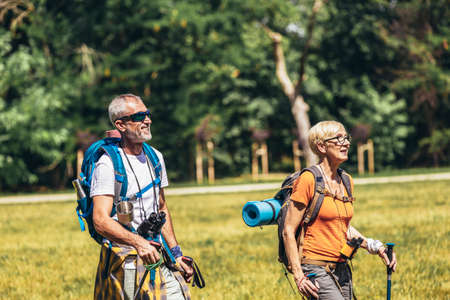 Senior couple hiking in forest wearing backpacks and hiking poles. Nordic walking, trekking. Healthy lifestyle.の写真素材