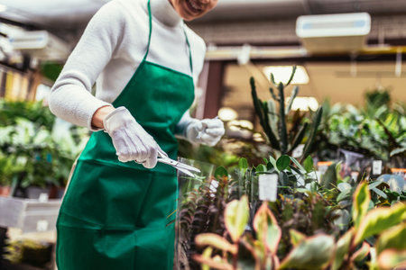 Woman florist working in a floral shop and taking care of a plantの写真素材