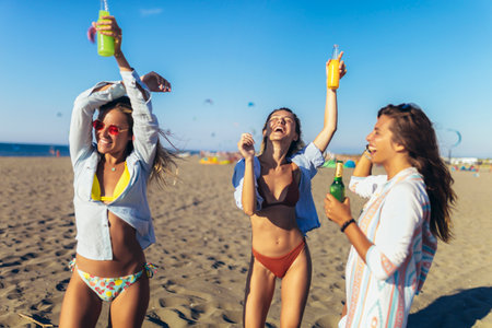 Group of Friends Having a Party on the Beachの写真素材