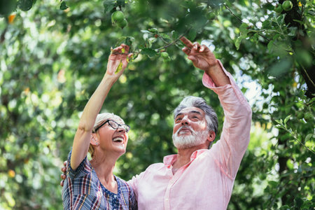 Senior couple relaxing in gardenの写真素材