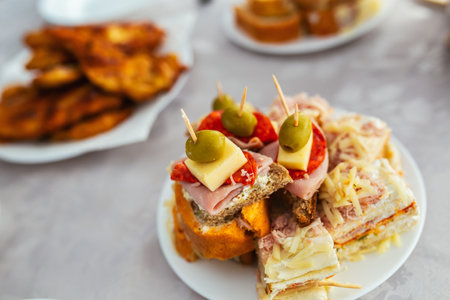 Close-up of vegetable salad, roll, kanapei and schnitzelの写真素材