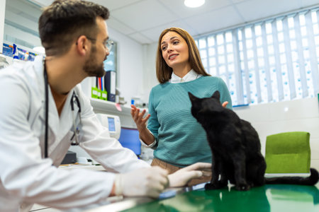 Young man, a veterinarian by profession, examines a cat in modern vet clinic.Young owner helps to calm down the pet and talks with the vet specialist.の写真素材
