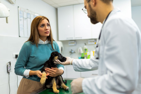 Young man, a veterinarian by profession, examines a dog in modern vet clinic.Young owner helps to calm down the pet and talks with the vet specialist.の写真素材