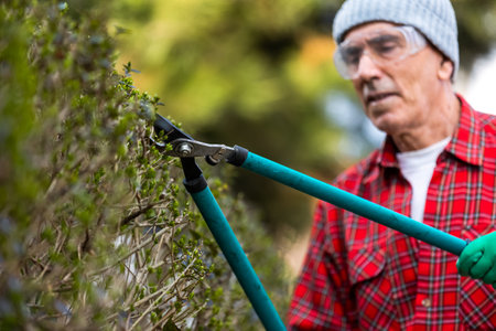 Gardener pruning tree with pruning shears