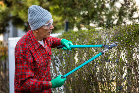 Gardener pruning tree with pruning shearsの写真素材