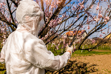 Spraying Fruit Tree with Organic Pesticide or Insecticide in Spring. Spraying Trees against Fungus...