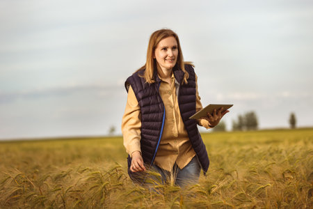 Agronomist  checks the quality of the grains in the middle of a wheat field. She has a tablet.の写真素材