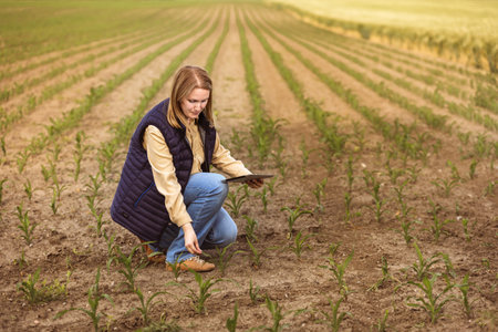 Woman agronomist checking the growth of the corn with technology, tablet in the cornfieldの写真素材