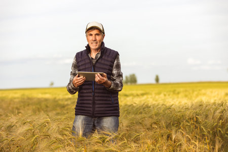 Agronomist  checks the quality of the grains in the middle of a wheat field. He has a tablet.の写真素材