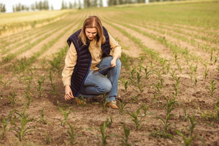 Woman agronomist checking the growth of the corn with technology, tablet in the cornfieldの写真素材