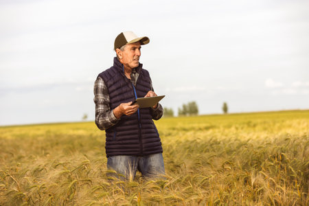Agronomist  checks the quality of the grains in the middle of a wheat field. He has a tablet.の写真素材