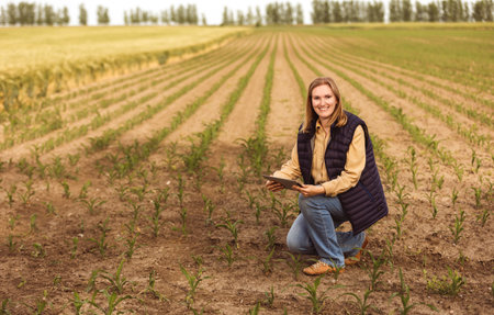 Woman agronomist checking the growth of the corn with technology, tablet in the cornfieldの写真素材