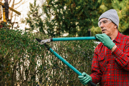 Gardener pruning tree with pruning shearsの写真素材