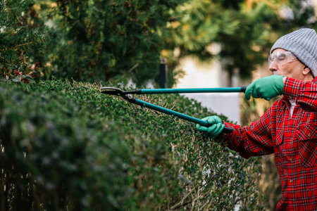 Gardener pruning tree with pruning shearsの写真素材