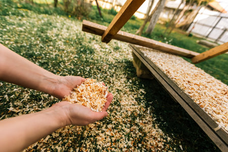 A handful of sawdust.の写真素材