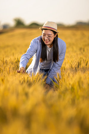 A Thai female farmer inspects the quality of golden wheat in the field.の写真素材