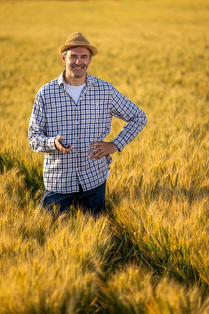 A senior man smiles confidently at the camera while standing in a golden wheat field.の写真素材