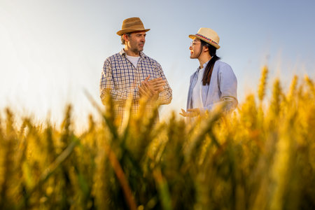 A Thai female farmer and a senior male farmer stand together in a golden wheat field.の写真素材