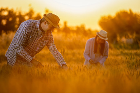 A Thai female farmer and a senior male farmer stand together in a golden wheat field.の写真素材