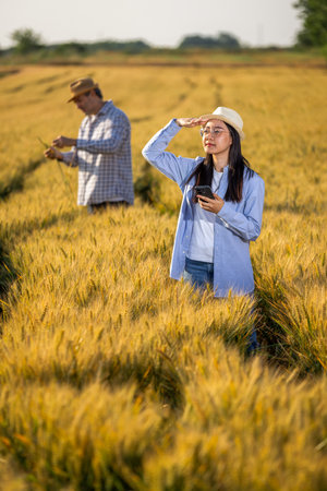 A Thai female farmer gazes thoughtfully into the distance while standing in a golden wheat field, with a senior male farmer working in the background.の写真素材