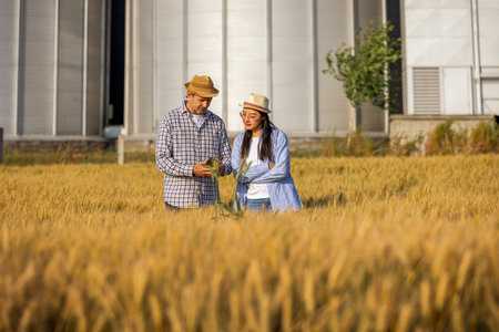 A Thai woman and an older male worker stand in a pile of wheat in front of large silos, using a smartphone together.の写真素材