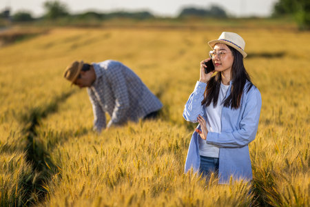 A Thai female farmer talks on her phone while standing in a golden wheat field as a senior male farmer works in the background.の写真素材