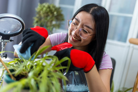A young Thai girl gently cleans the leaves of her houseplant using water and a cloth.の写真素材