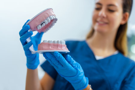 Confident female dentist in blue coat holding full dental model, demonstrating oral health care in...
