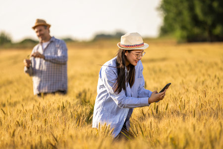 A Thai female farmer takes pictures of a golden wheat field while an older male farmer works in the backgroundの写真素材