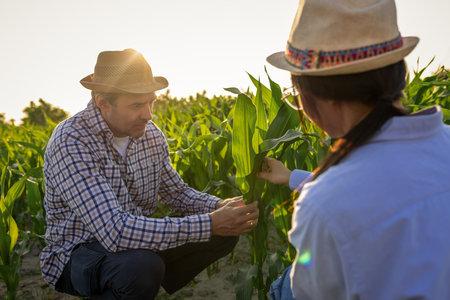 Two farmers, a Thai woman and a senior man, standing in a lush corn field, inspecting plant growth...