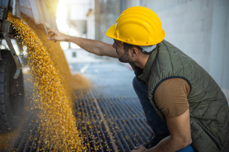 Truck unloading corn at collection point with workerの写真素材