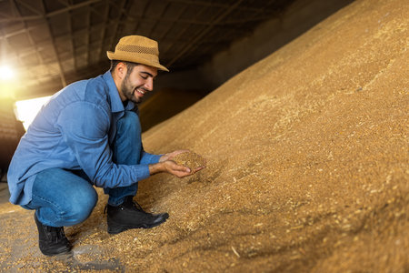 Young man in warehouse holds soybeans in hands and checks grain quality, concept of agricultureの写真素材