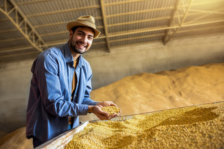 Young man in warehouse holds soybeans in hands and checks grain quality, concept of agricultureの写真素材