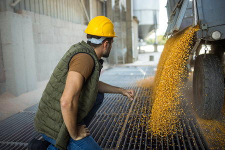 Truck unloading corn at collection point with workerの写真素材