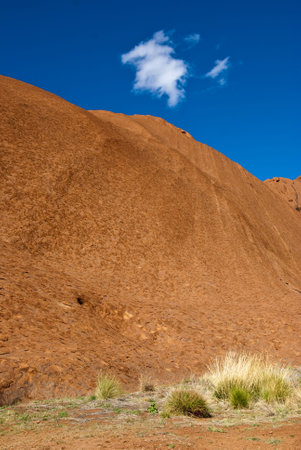 Detail of the Ayers Rock National Park, Northern Territory, Australia, August 2009のeditorial素材