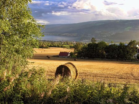 Countryside near Lillehammer, Norway, on a wet summer day