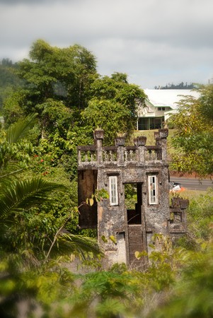 Paronella Park Vegetation in Queensland, Australiaの写真素材