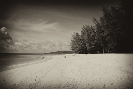 Detail of Thailand Island in the Phuket Province, Summerの写真素材