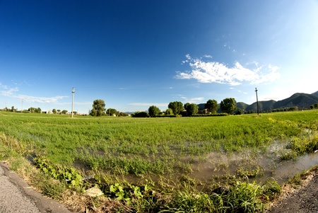 Detail of Tuscan Countryside in Italyの写真素材