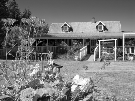 Countryside near Mount St Helens, Washingtonのeditorial素材