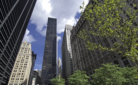 New York City Skyscrapers and Vegetation, U.S.A.のeditorial素材