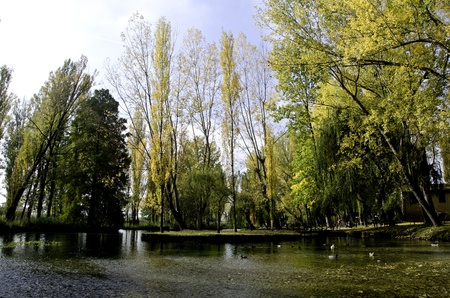 Vegetation of Fonti del Clitunno Park in Umbria, Italy