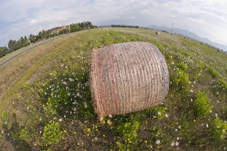 Fisheye view of a Haybale in a Tuscan Meadow, Italy