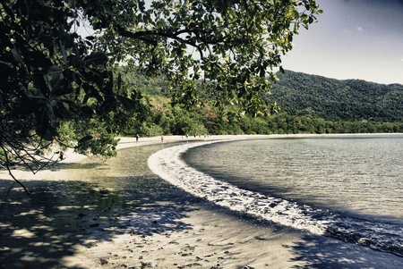 Vegetation and Colors of Cape Tribulation in Australiaの写真素材